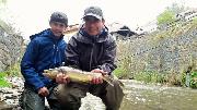 Brown trout April, Slovenia fly fishing